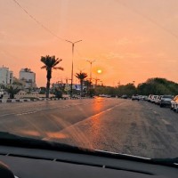 نیدو مارکت