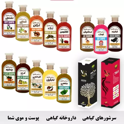 شامپو (سرشور) گیاهی میوه کاکتوس