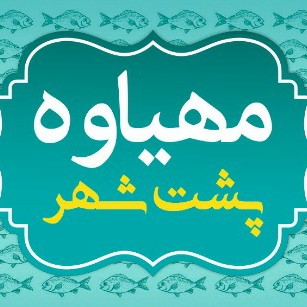 علیرضا فینی قشمی