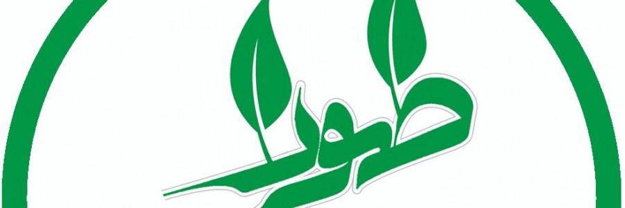 محصولات اینترنتی طهورا