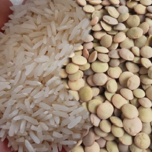 بسته عدس محلی و برنج طارم هاشمی محلی سرلاشه 4 کیلویی، با ارسال رایگان