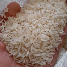 برنج سرلاشه طارم هاشمی محلی 8 کیلویی با ارسال رایگان