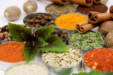 کلینیک گیاهی مصفّی