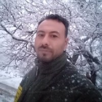محمد ابراهیمی