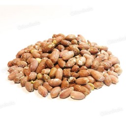 بادام زمینی بدون پوست درجه یک آستانه اشرفیه 500 گرم