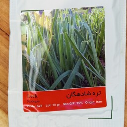 بذر سبزی تره شادهگان یا تره فارسی  یا تره محلی
