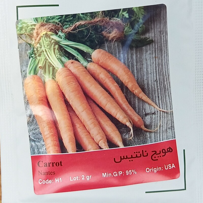 بذر هویج نانتیس