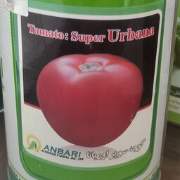 بذر گوجه سوپر اوربانا عنبری قوطی 500 گرمی