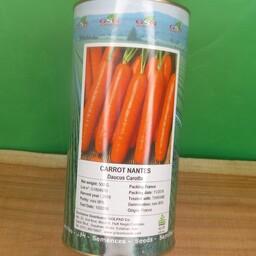 بذر هویج 100 گرمی فله ای gsn فرانسه