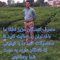 آقای زیتون طارمی۰۹۱۲۴۹۴۵۵۴۵