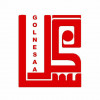 golnesaa