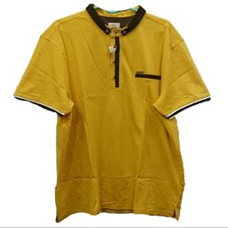 پولوشرت یا تی شرت یقه دار مردانه برند ARATEX (سایز 3XL)