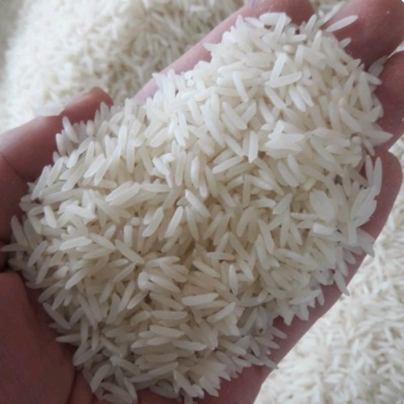 برنج طارم فجر شمال (10 کیلوگرمییی)