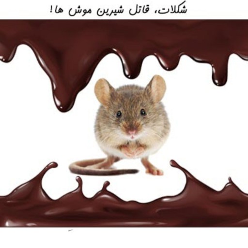 سم موش شکلاتی یک طعمه آماده مصرف است که مخلوط متناسبی از مواد خوراکی و جلب کننده