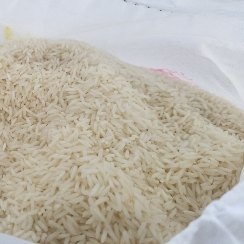 برنج ایرانی  شیرودی  ارسال رایگان
