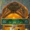 سید محسن