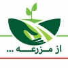 فروشگاه اینترنتی از مزرعه