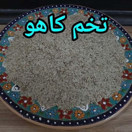 تخم کاهو 1 کیلویی