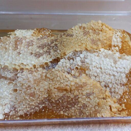 عسل قزماخ (لایه رویی عسل شان ) موم دار  طبیعی بسته بندی 1 کیلویی 