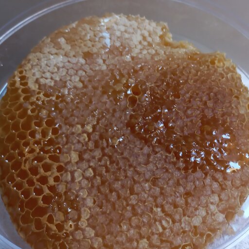 عسل ارگانیک موم دار دایره خودبافت زنبور  با موم 100٪ طبیعی