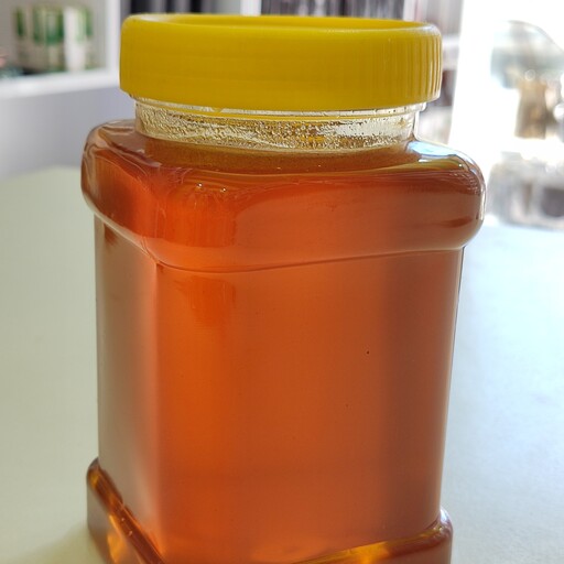 عسل چهل گیاه اردبیل (یک کیلویی) 