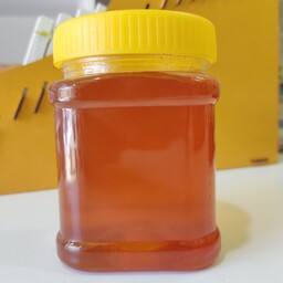 عسل چهل گیاه (500گرم) 