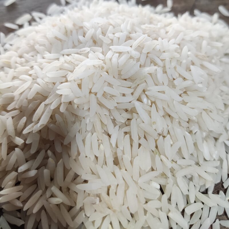 برنج دم سیاه مینودشت