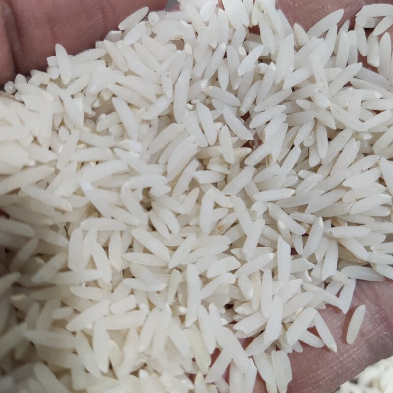 برنج دم سیاه مینودشت