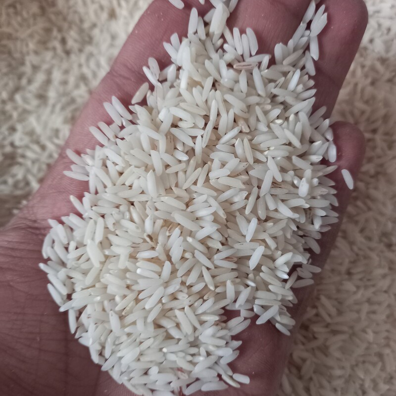 برنج هاشمی  خوش عطر  امسالی 10کیلو گرمی( ارسال رایگان با ضمانت برگشت )