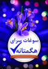 «سوغات سرای هگمتانه» (تخفیف ویژه خرید سبدمحصولات با وارد کردن کد کوپن تخفیف)