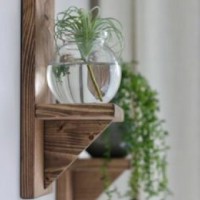 فهیمه موسی زاده