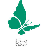 سید احمد رضوی