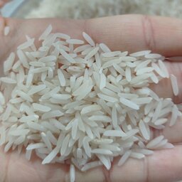 برنج فجر سوزنی گرگان (5کیلویی)