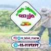 مزرعه