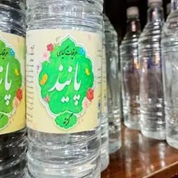 عرق گزنه1000گرمی ارگانیک پانیذ 