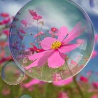 رقیه کاشنده