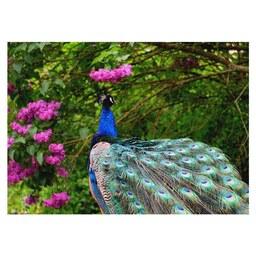 تابلو فرش ماشینی چاپی 1200 شانه طرح طاووس در باغ سایز 50 در70 (حیوانات)