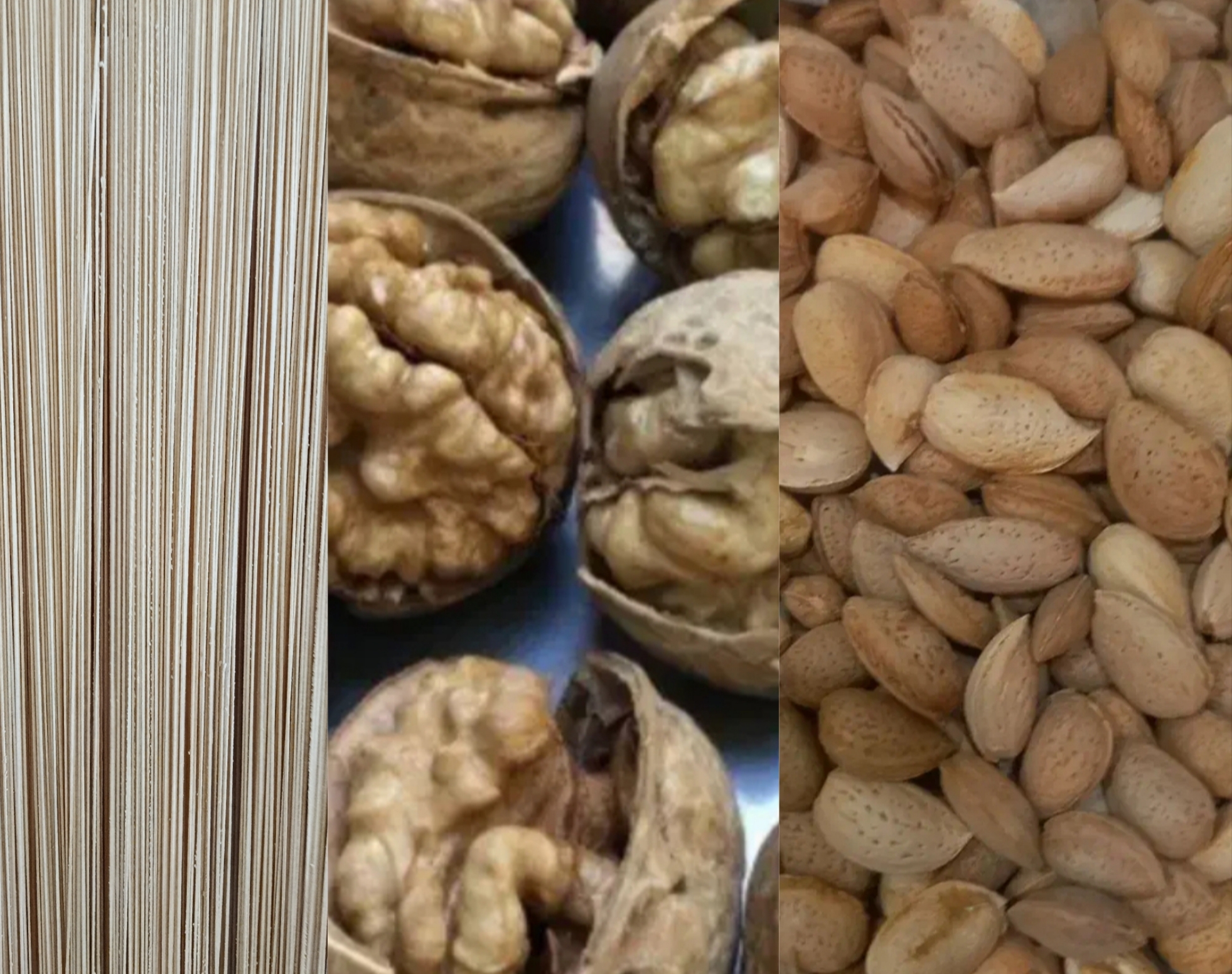 ارگانیک سرای زرقانی