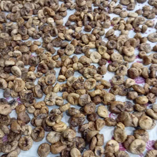 Large dried figs from this year's harvest