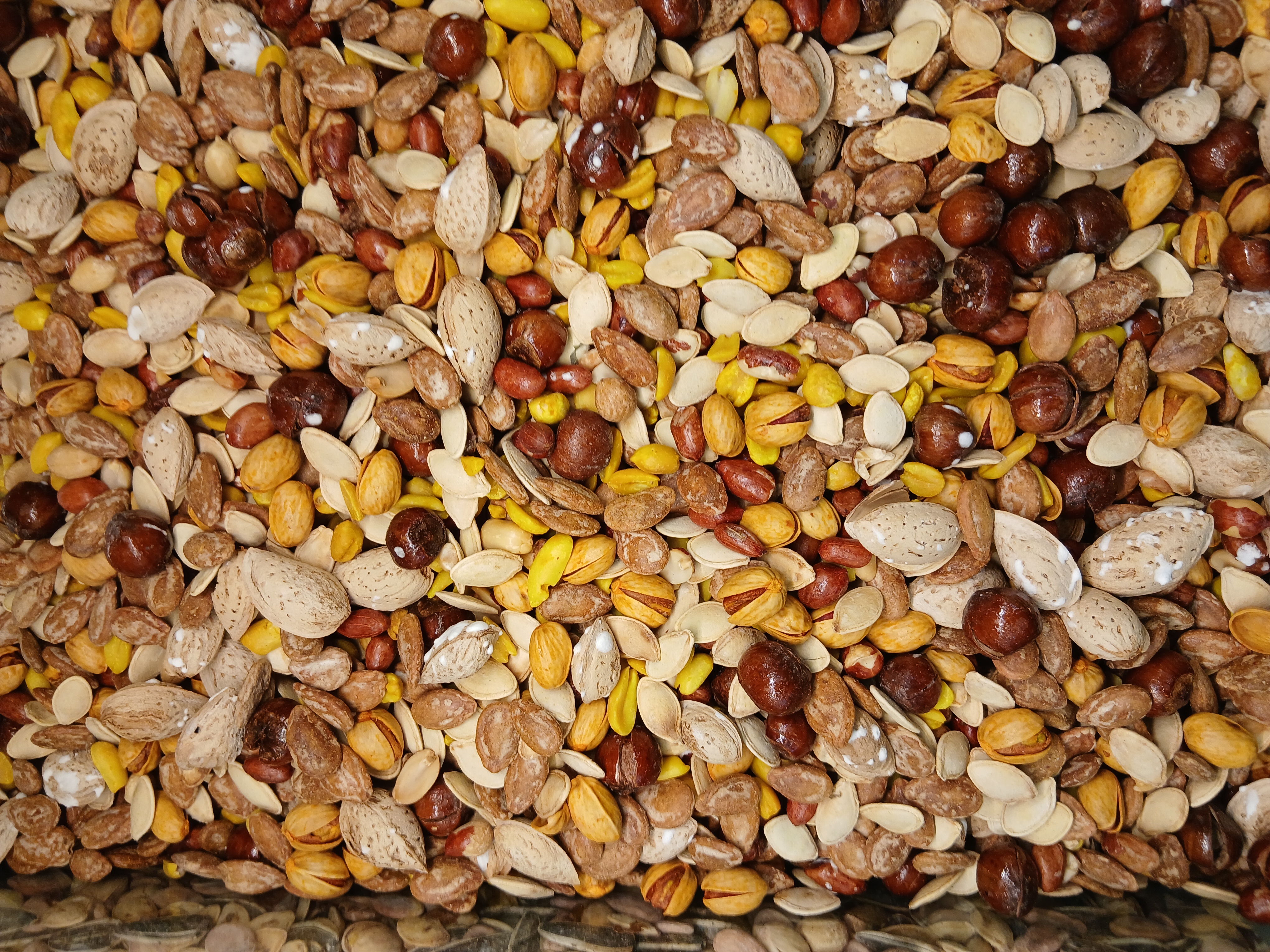 Premium Roasted Mixed Nuts