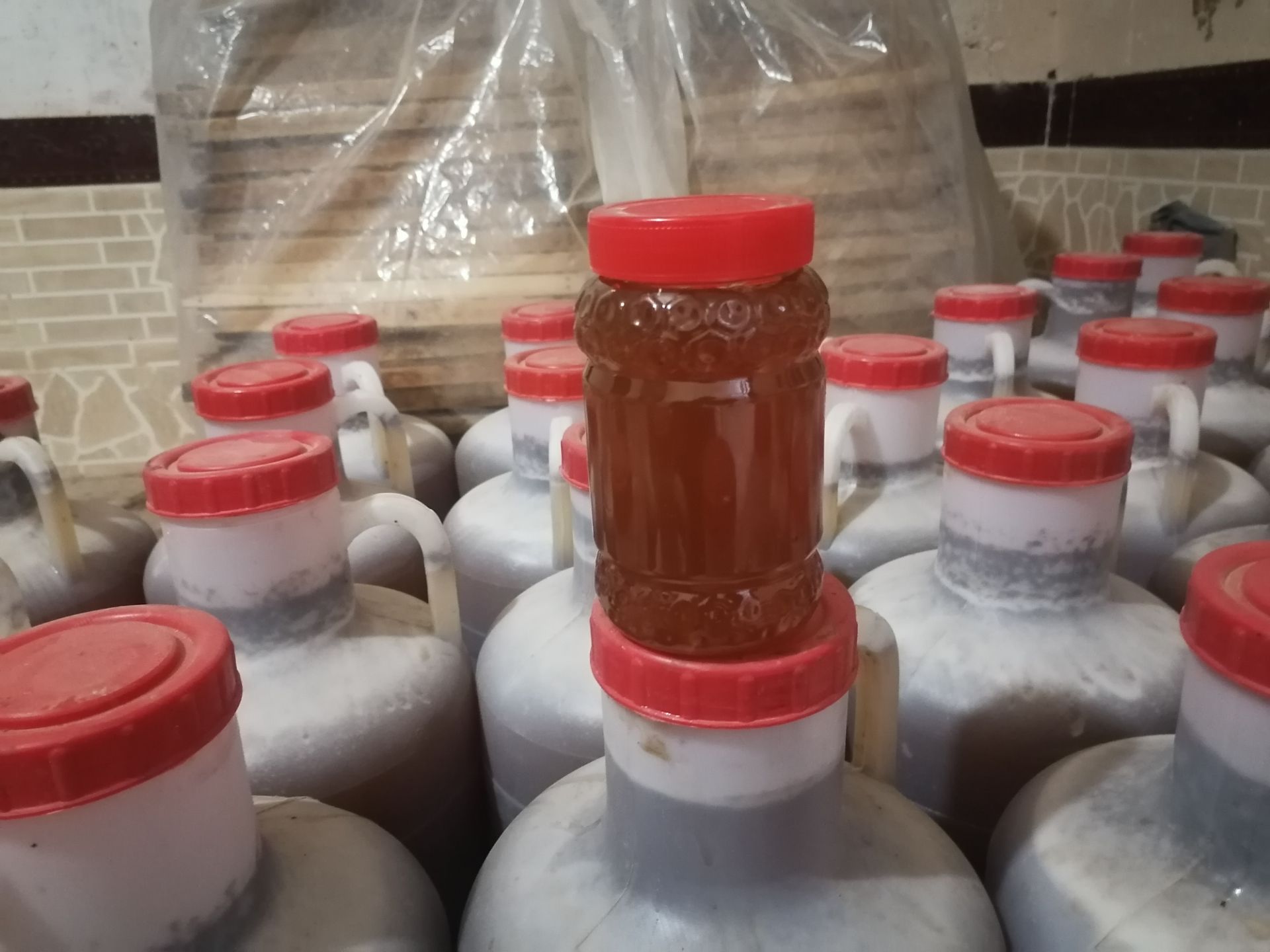 Grade 1 Sidr Honey