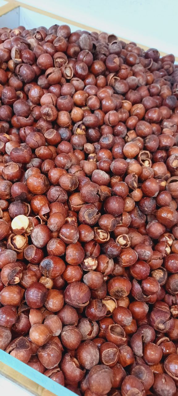 Premium Grade-A Roasted and Salted Hazelnuts