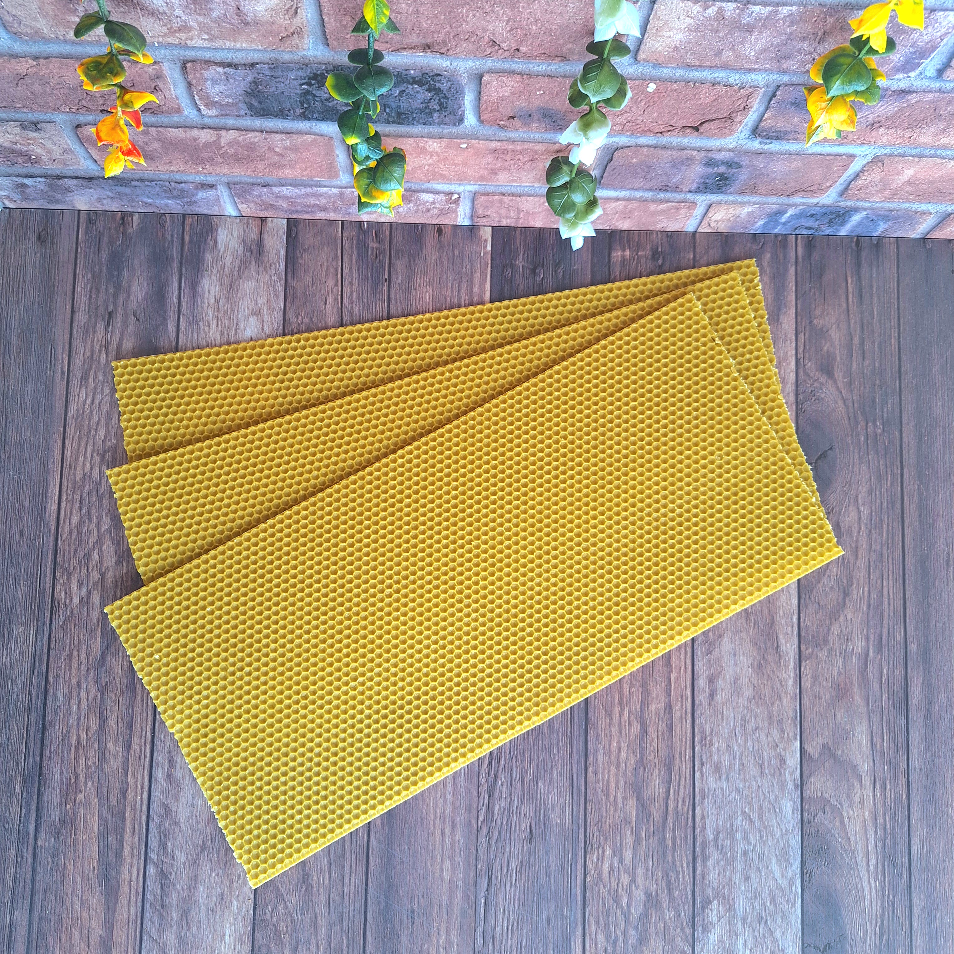 Beeswax foundation