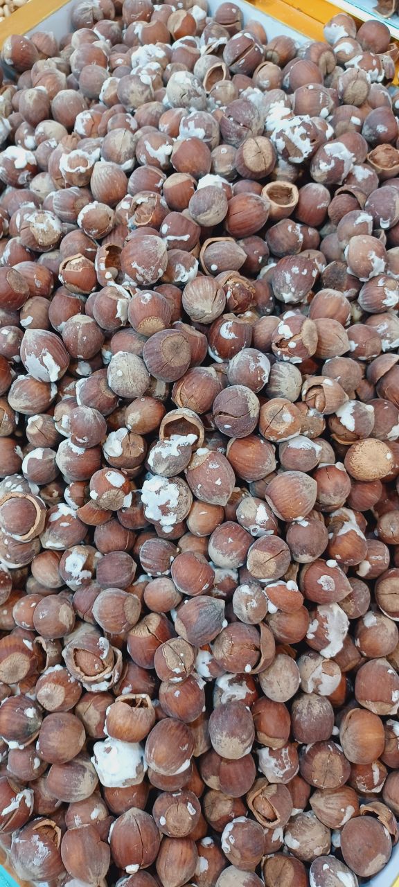 Premium Roasted Hazelnuts
