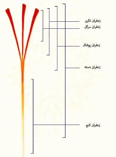 صورة المنتج 3