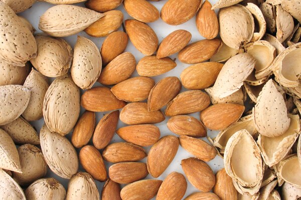 Tree Almond