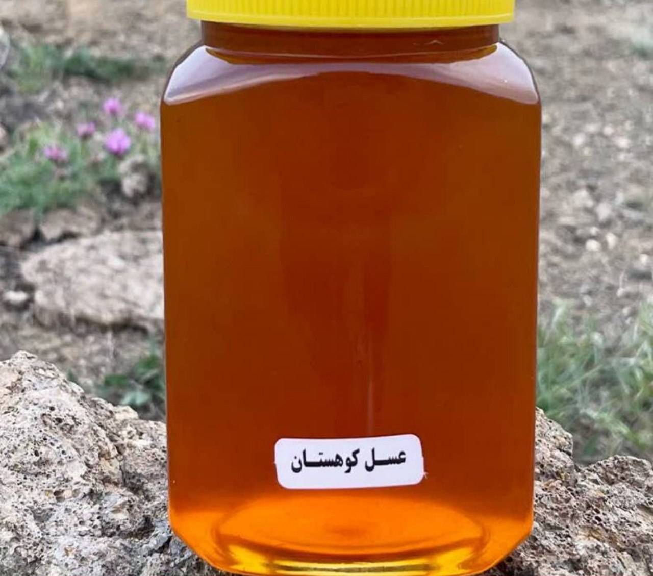 عسل جبلي