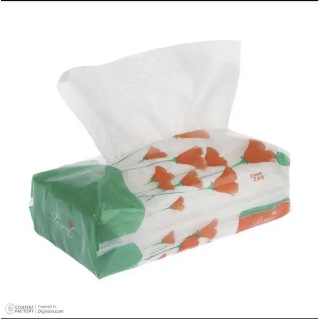 Peony 2-ply 100-sheet facial tissue