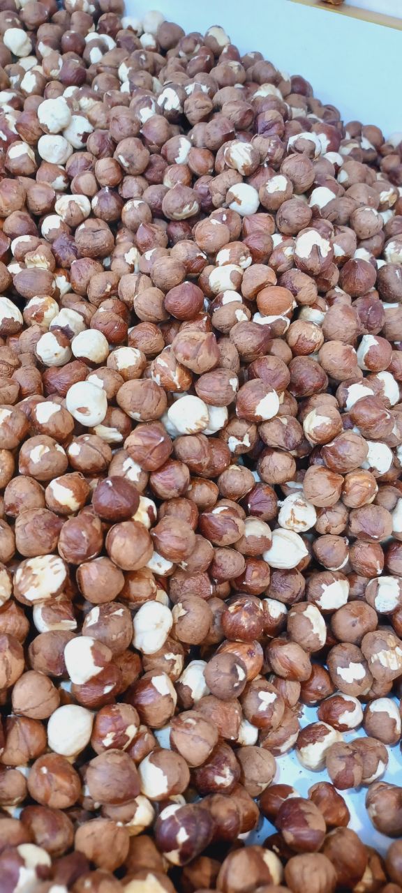 Premium and high-quality hazelnut kernels