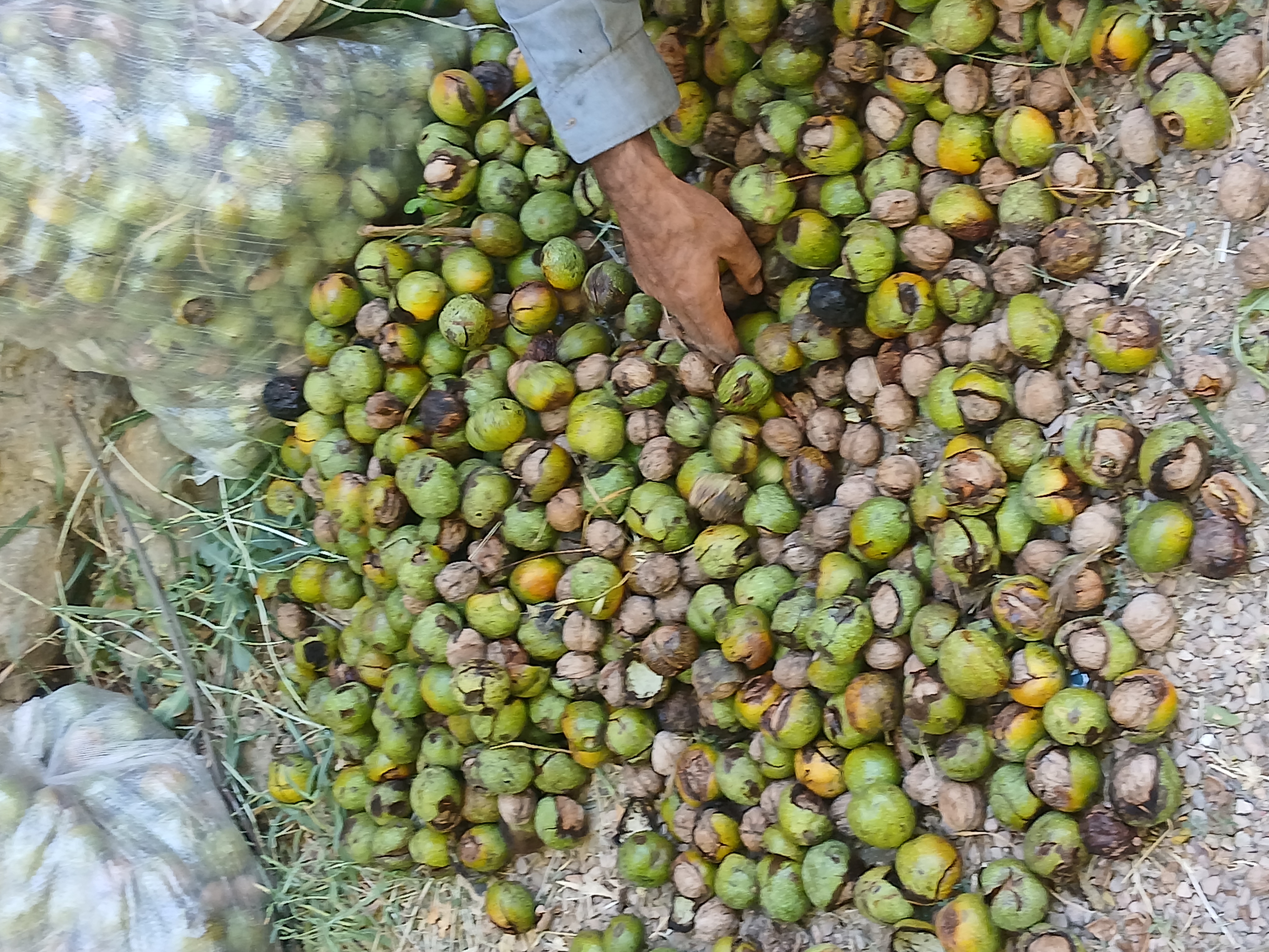 صورة المنتج 4